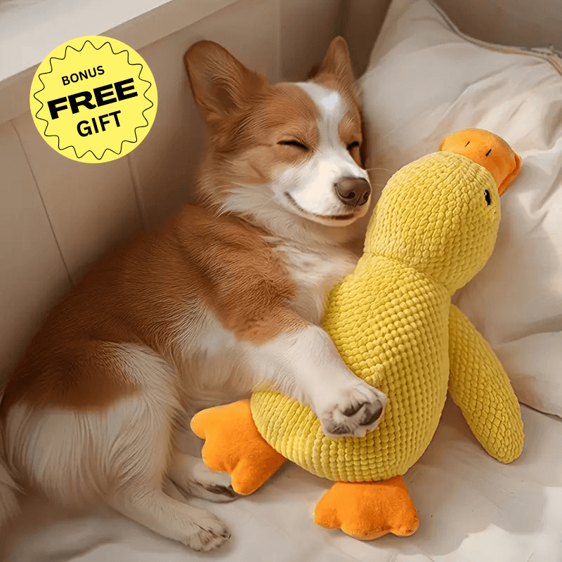 The Original Barkr™ Calming Dog Bed