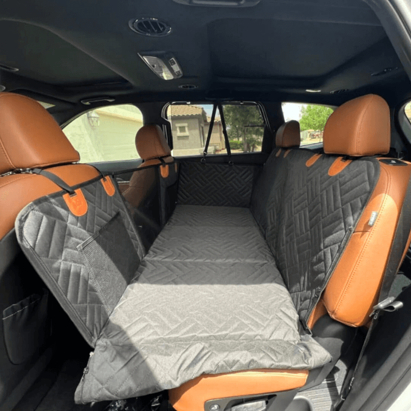 Barkr™ Backseat Buddy