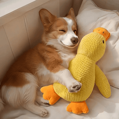 Calming Duck Companion
