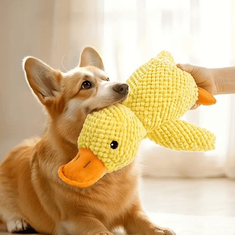 Calming Duck Companion