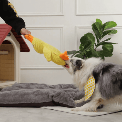 Calming Duck Companion