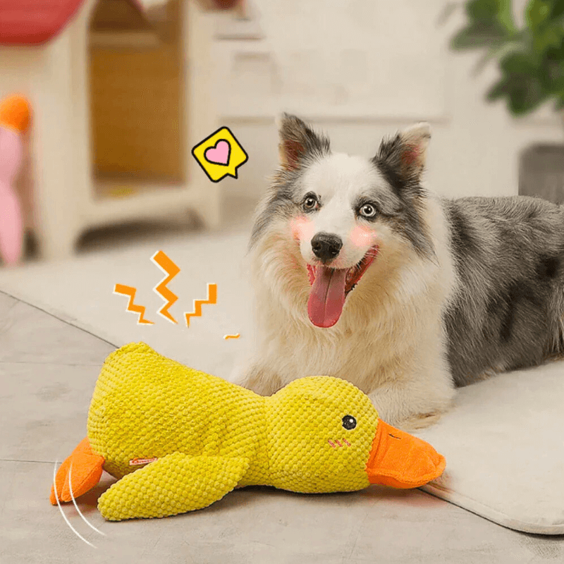 Calming Duck Companion