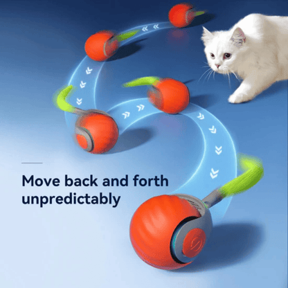 Barkr™ Speedy Tail 2.0