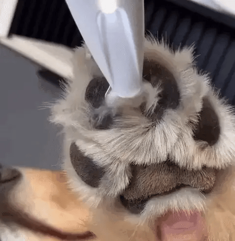 Barkr™ Precision Fur Trimmer