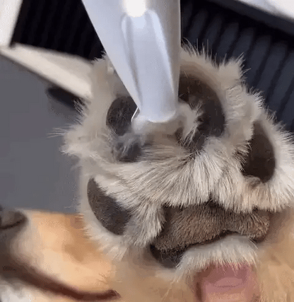 Barkr™ Precision Fur Trimmer